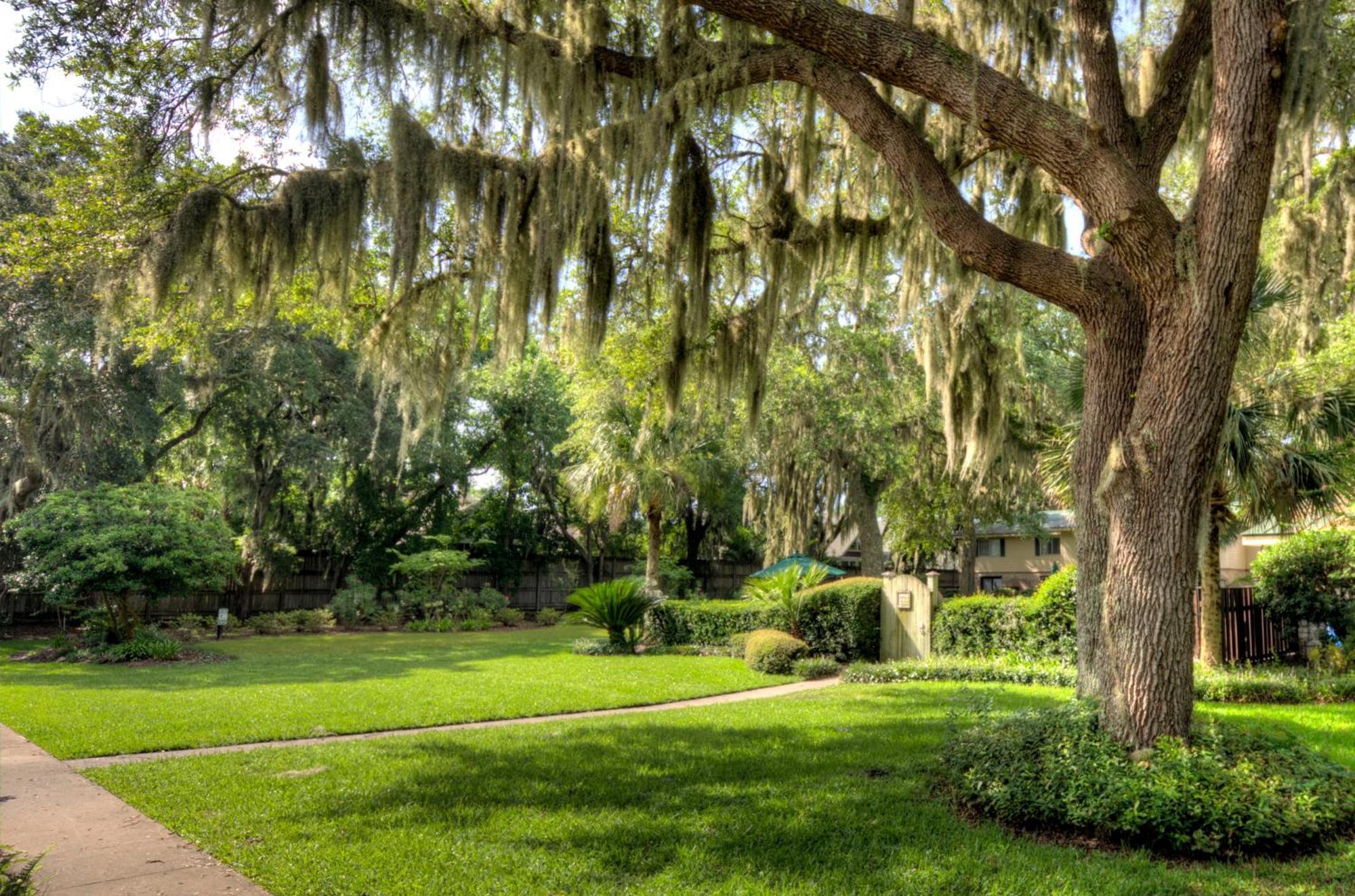 Turtle Cove- 2 Bedroom 1 And A Half Bathrooms St. Simons Island 외부 사진